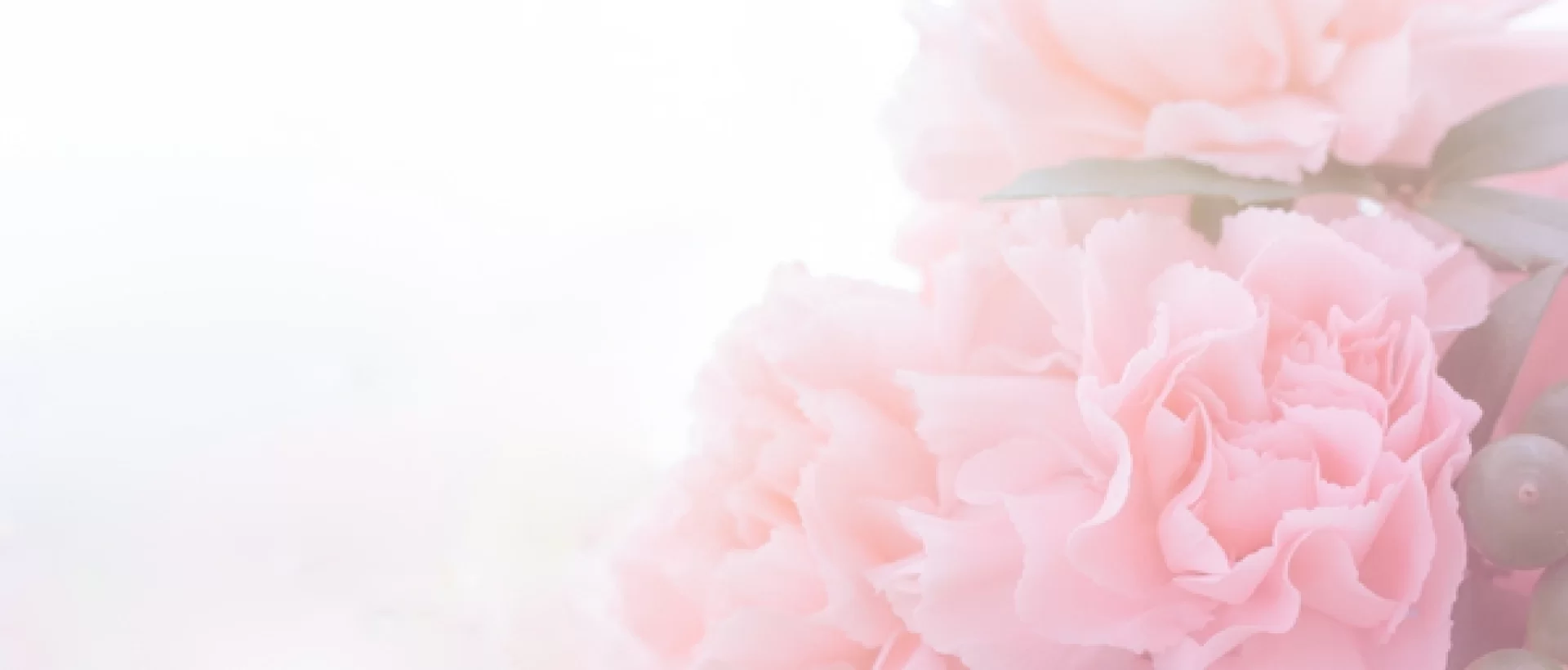 Poczuj wiosnę w relacjach 🌸