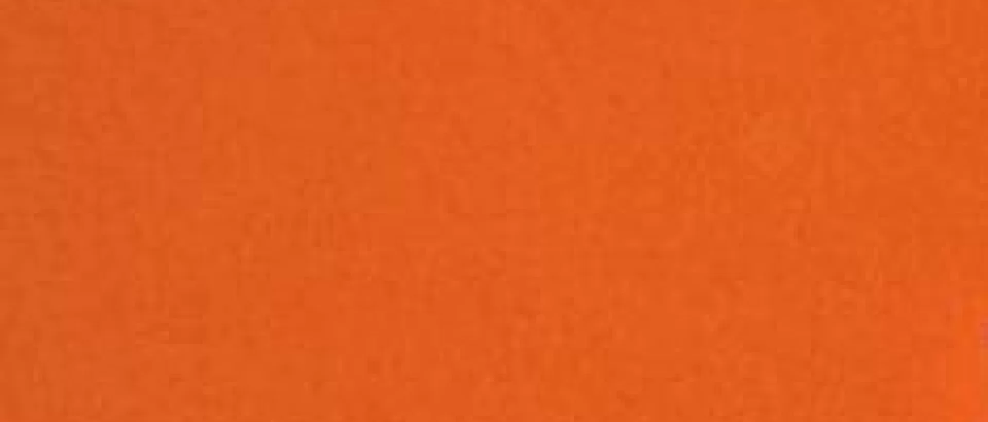 Kalendarz Ptaszek Staszek