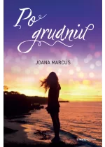 Po grudniu. Miesiące u twojego boku. Tom 2 