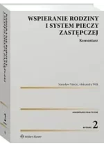 Wspieranie rodziny i system pieczy zastępczej Komentarz