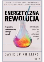 Energetyczna rewolucja