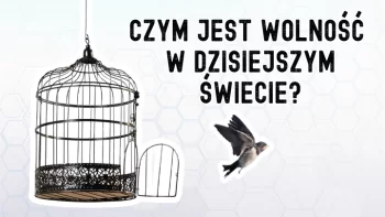 Wolność i dobrobyt - czy są naprawdę możliwe?