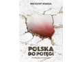 Polska do potęgi. Potencjał i strategia