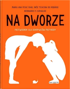 Na dworze 
