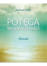 Potęga teraźniejszości dziennik 