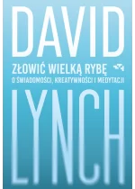 Złowić wielką rybę. O świadomości, kreatywności i medytacji 