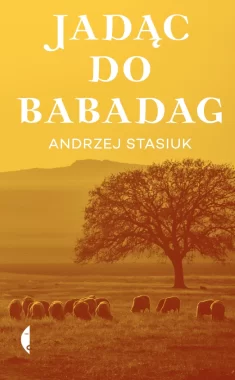 Jadąc do Babadag. Andrzej Stasiuk wyd. 6 