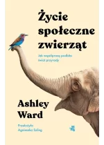 Życie społeczne zwierząt