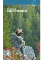 Niedźwiedź szuka domu 
