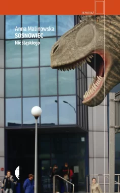 Sosnowiec. Nic śląskiego 