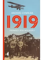 1919 pierwszy rok wolności 