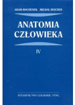 Anatomia człowieka