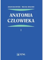 Anatomia człowieka. Tom 1
