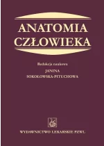 Anatomia człowieka