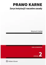 Prawo karne. Zarys instytucji i naczelne zasady 