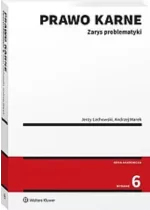 Prawo karne Zarys problematyki