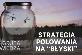 Myślenie strategiczne: jak rodzą się najlepsze pomysły?