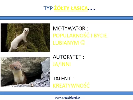 Typy osobowości w biznesie