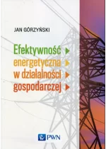 Efektywność energetyczna w działalności gospodarczej