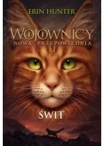 Świt
