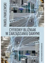 Cyfrowy bliźniak w zarządzaniu danymi 