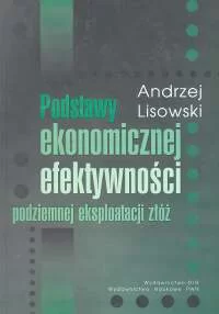 Podstawy ekonomicznej efektywności podziemnej eksploatacji złóż