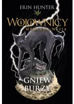 Gniew burzy. Cykl Wojownicy. Mroczna wizja. Tom 6
