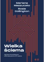 Wielka ściema. Jak firmy konsultingowe odbierają sprawczość rządom