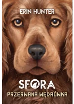 Przerwana wędrówka (SFORA IV) / Nowa Baśń / 