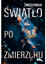 Światło po zmierzchu