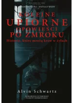 Kolejne upiorne opowieści po zmroku. Historie, które mrożą krew w żyłach