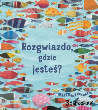 Rozgwiazdo, gdzie jesteś? Outlet