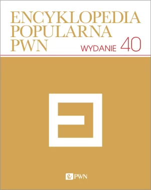 Encyklopedia popularna