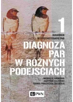 Diagnoza w psychoterapii par. Tom 1. Diagnoza par w różnych podejściach