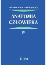 Anatomia człowieka. Tom 4