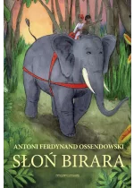 Słoń Birara