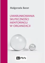 Uwarunkowania skuteczności mentoringu w organizacji