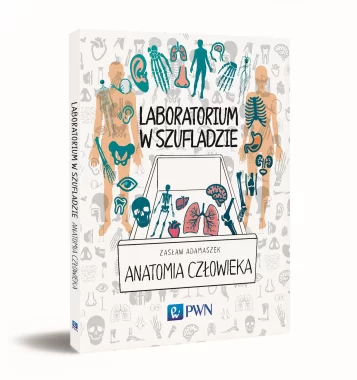 Laboratorium w szufladzie. Anatomia człowieka