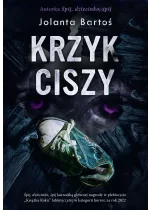 Krzyk ciszy