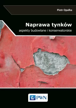 Naprawa tynków.