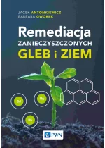 Remediacja zanieczyszczonych gleb i ziem
