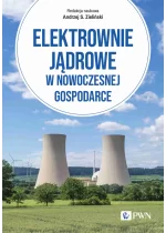 Elektrownie jądrowe w nowoczesnej gospodarce