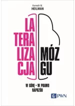 Lateralizacja mózgu. W górę – w prawo - naprzód