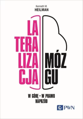 Lateralizacja mózgu. W górę – w prawo - naprzód