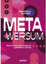 Metawersum. Nowe wyzwania dla zarządzania w gospodarce cyfrowej Outlet