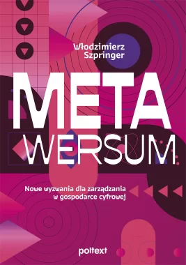 Metawersum. Nowe wyzwania dla zarządzania w gospodarce cyfrowej Outlet
