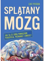 Splątany mózg
