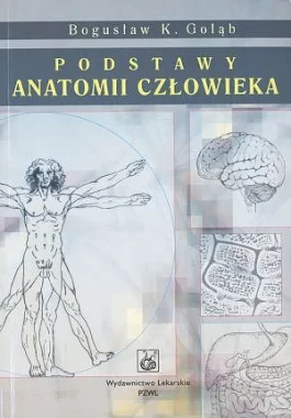Podstawy anatomii człowieka