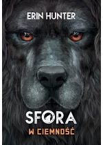 W ciemność (Sfora III) Nowa Baśń