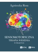 Sensomotoryczna Terapia Widzenia w praktyce